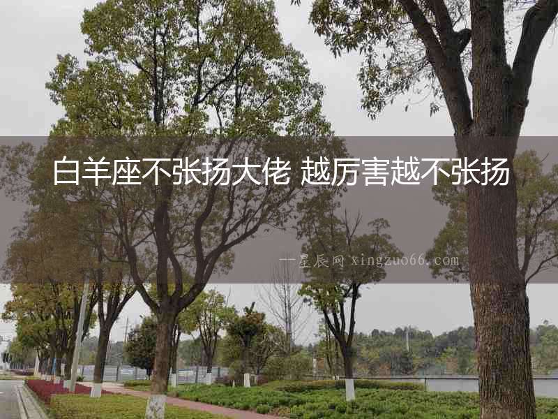 白羊座不張揚大佬 越厲害越不張揚