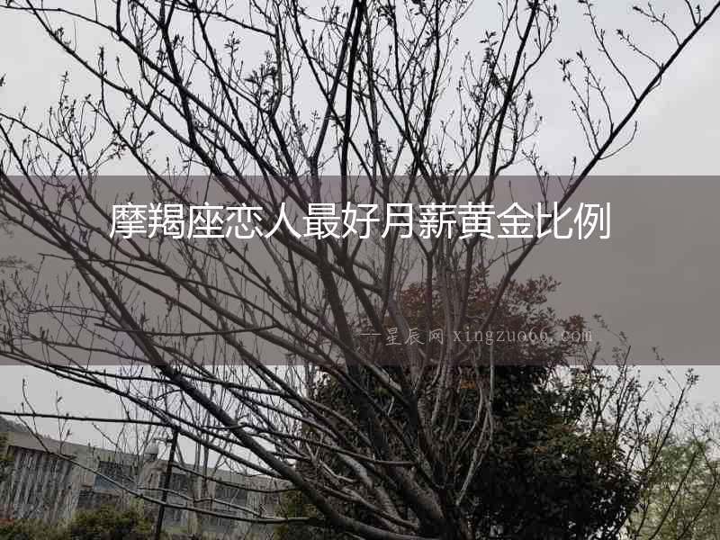 摩羯座戀人最好月薪黃金比例