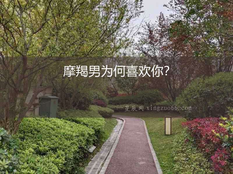 摩羯男為何喜歡你？