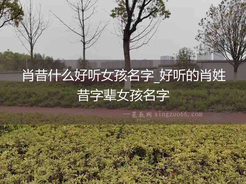 肖昔什么好聽女孩名字_好聽的肖姓昔字輩女孩名字