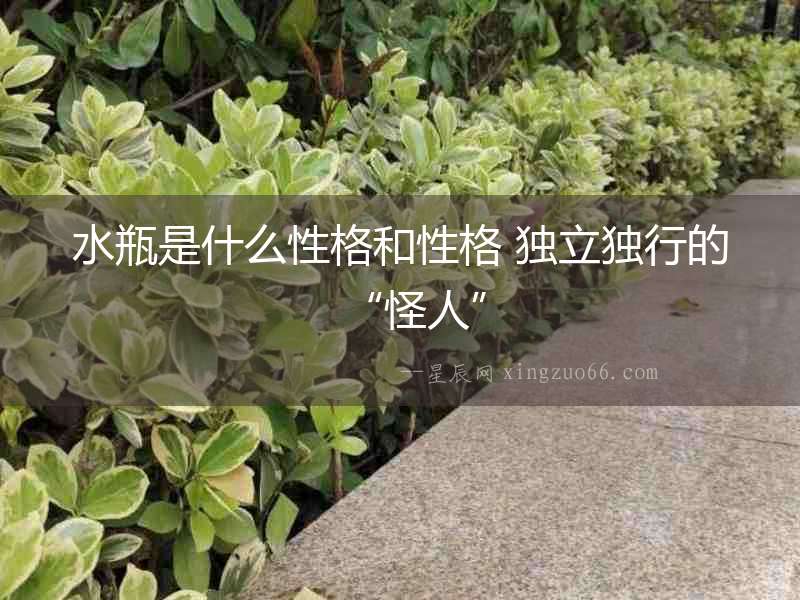 水瓶是什么性格和性格 獨立獨行的“怪人”