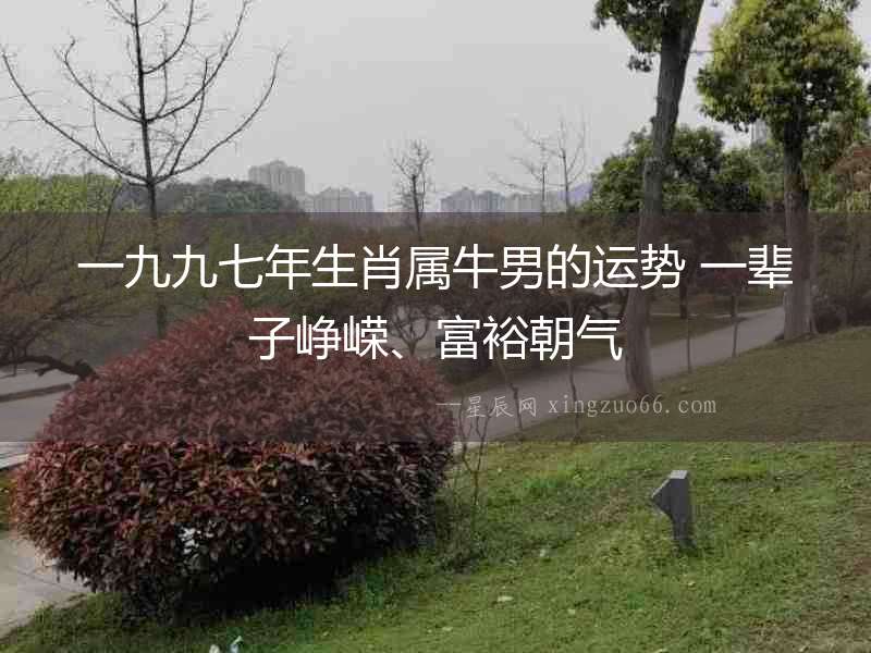 一九九七年生肖屬牛男的運勢 一輩子崢嶸、富裕朝氣