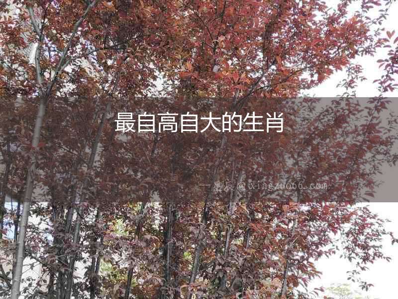 最自高自大的生肖