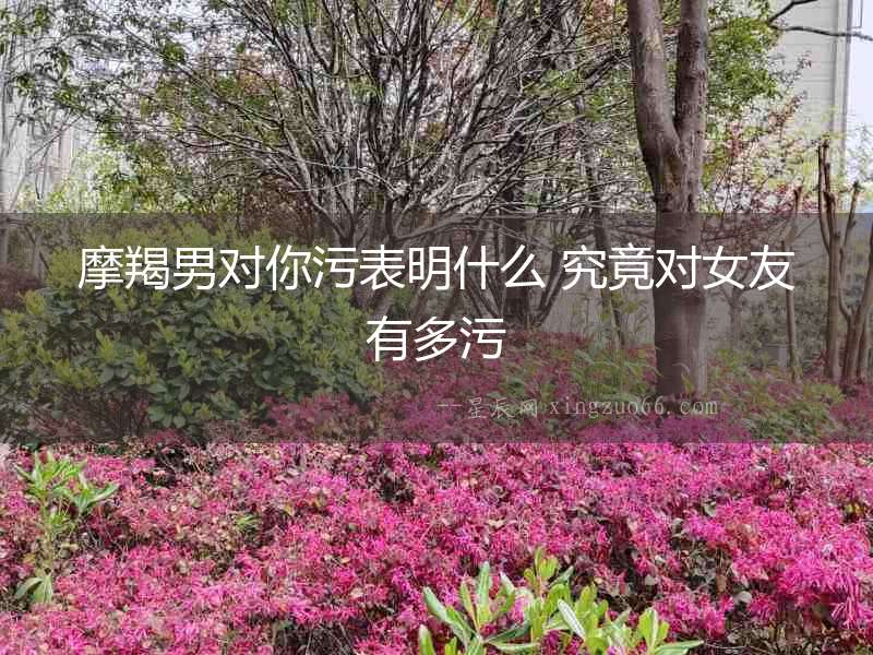 摩羯男對你污表明什么 究竟對女友有多污