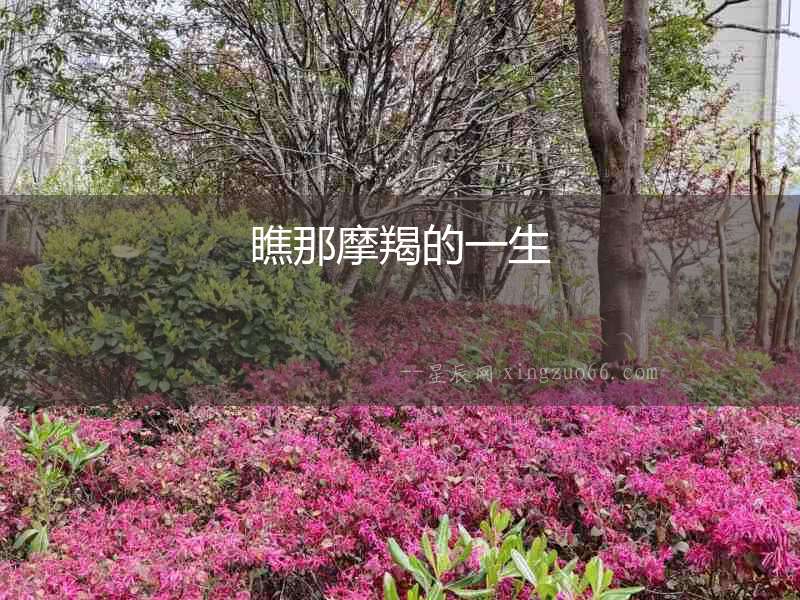 瞧那摩羯的一生