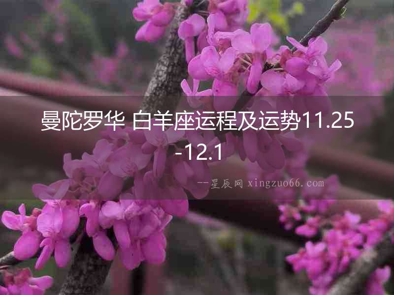 曼陀羅華 白羊座運程及運勢11.25-12.1