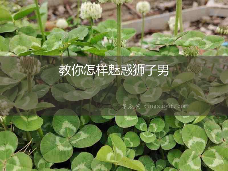教你怎樣魅惑獅子男