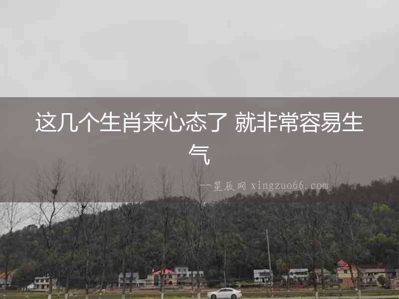 這幾個生肖來心態了 就非常容易生氣