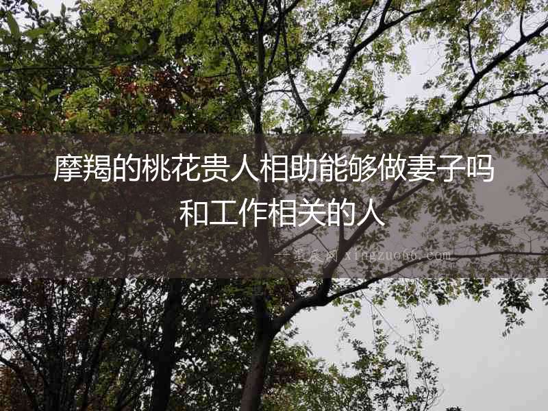 摩羯的桃花貴人相助能夠做妻子嗎  和工作相關的人