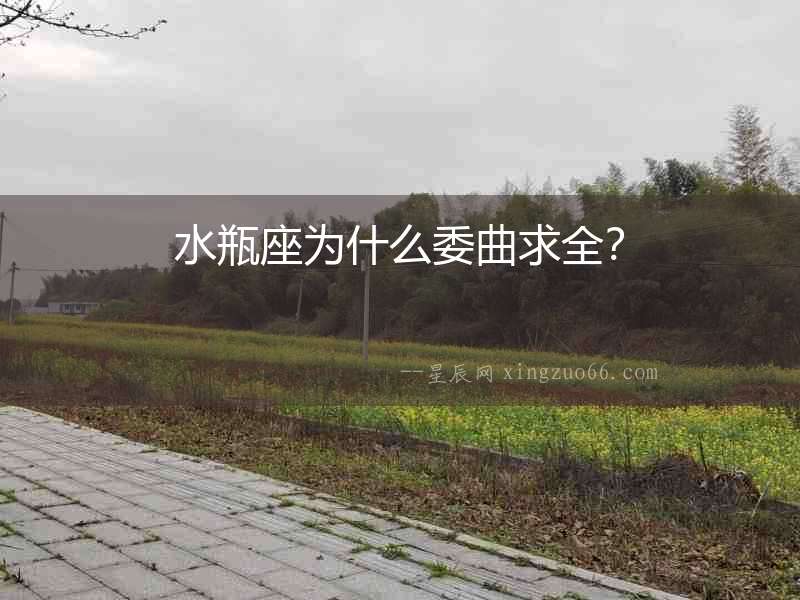 水瓶座為什么委曲求全？