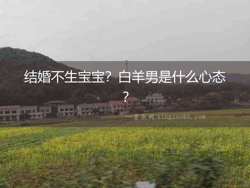 結婚不生寶寶？白羊男是什么心態？