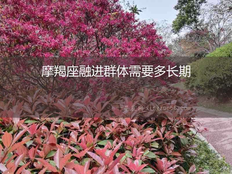 摩羯座融進群體需要多長期