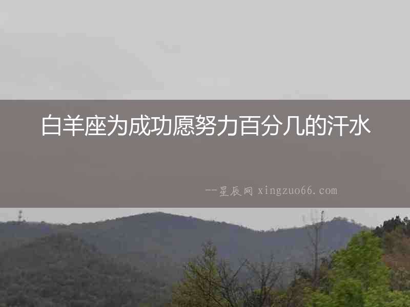 白羊座為成功愿努力百分幾的汗水