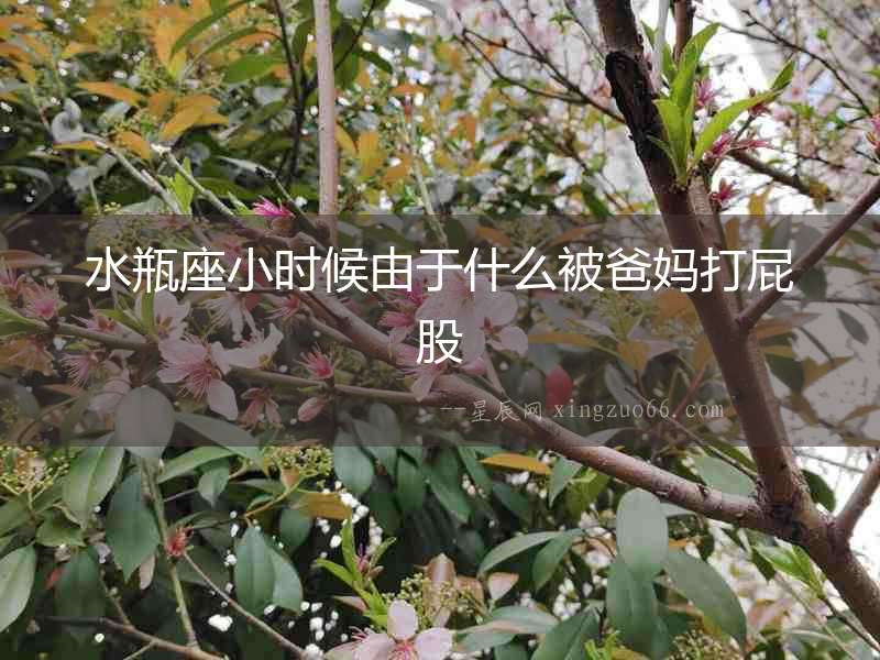 水瓶座小時(shí)候由于什么被爸媽打屁股