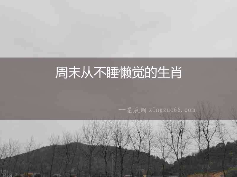 周末從不睡懶覺的生肖