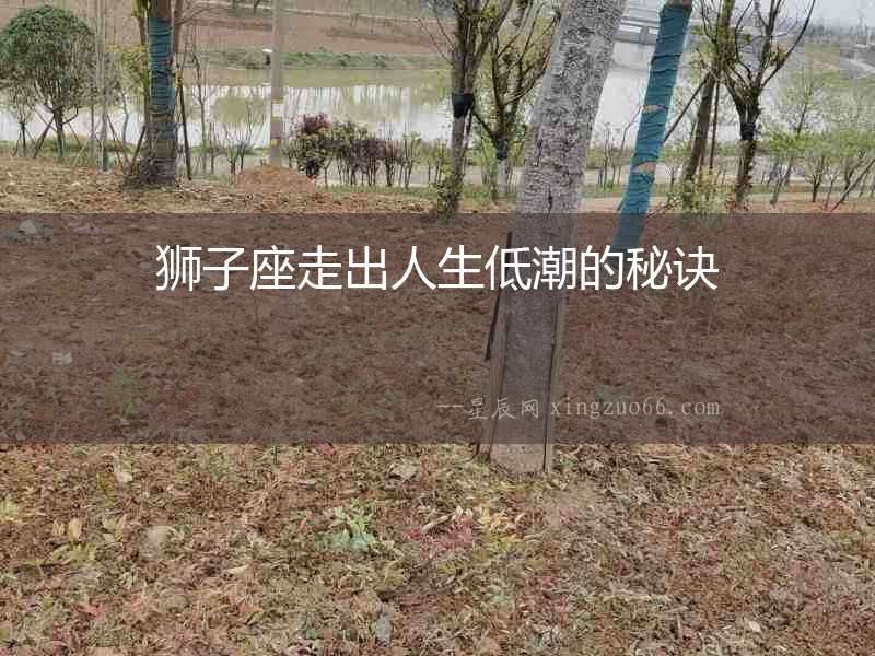 獅子座走出人生低潮的秘訣