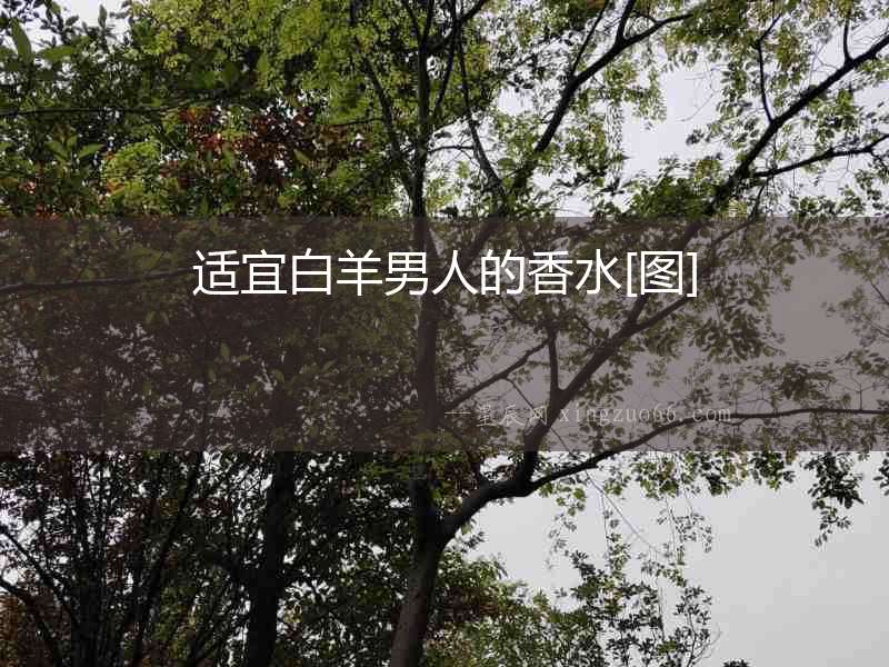 適宜白羊男人的香水[圖]