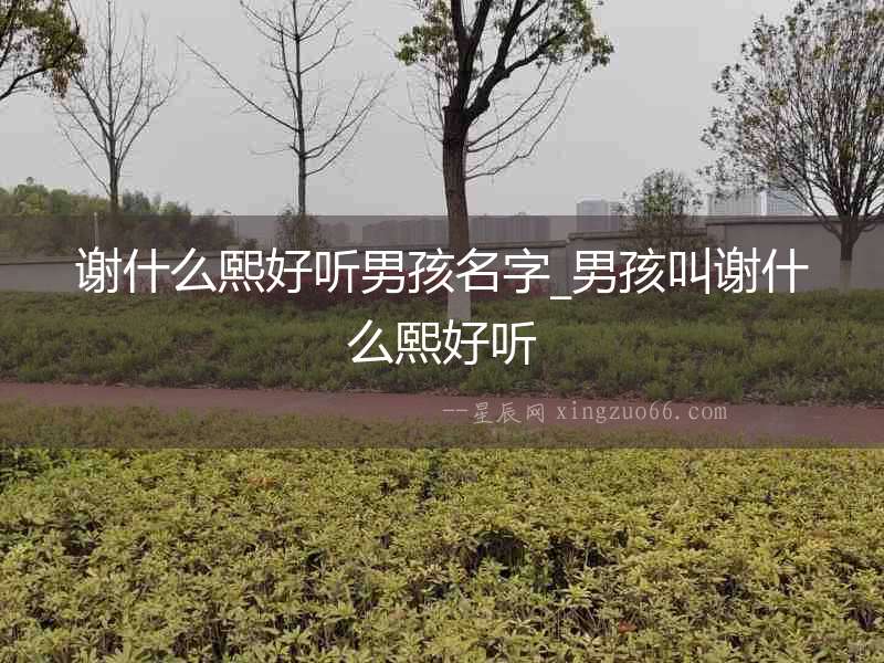 謝什么熙好聽男孩名字_男孩叫謝什么熙好聽
