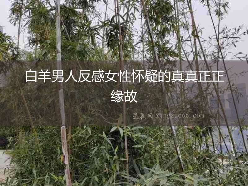 白羊男人反感女性懷疑的真真正正緣故
