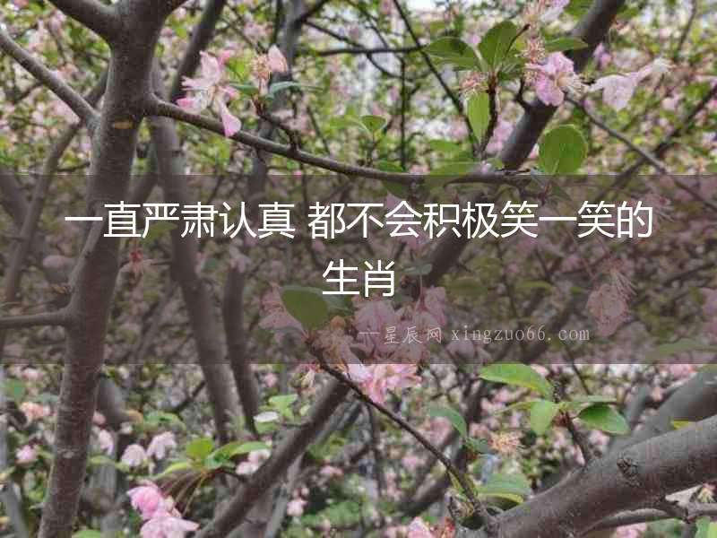 一直嚴肅認真 都不會積極笑一笑的生肖