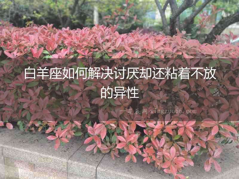 白羊座如何解決討厭卻還粘著不放的異性