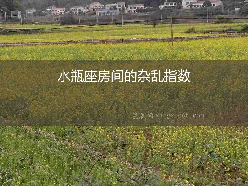 水瓶座房間的雜亂指數(shù)