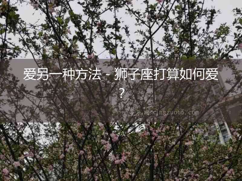 愛另一種方法－獅子座打算如何愛？