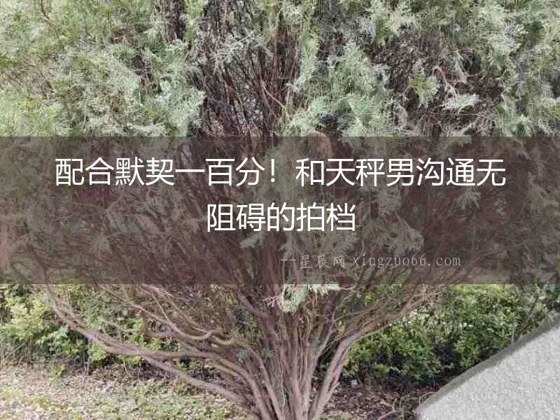 配合默契一百分！和天秤男溝通無阻礙的拍檔