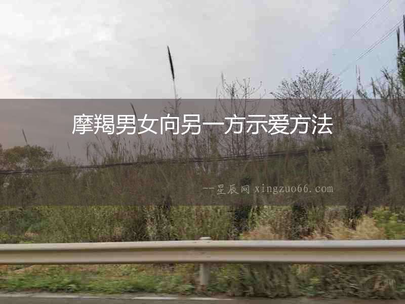 摩羯男女向另一方示愛方法