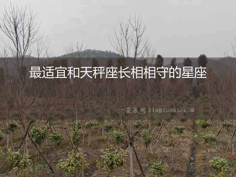 最適宜和天秤座長相相守的星座