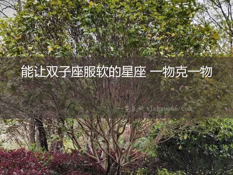 能讓雙子座服軟的星座 一物克一物