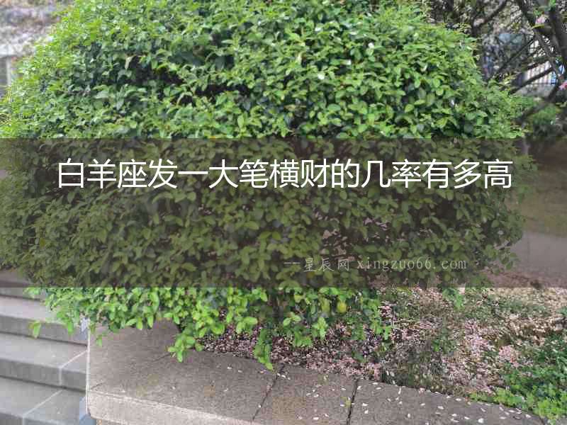 白羊座發一大筆橫財的幾率有多高