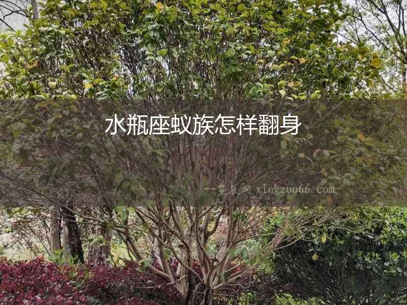 水瓶座蟻族怎樣翻身