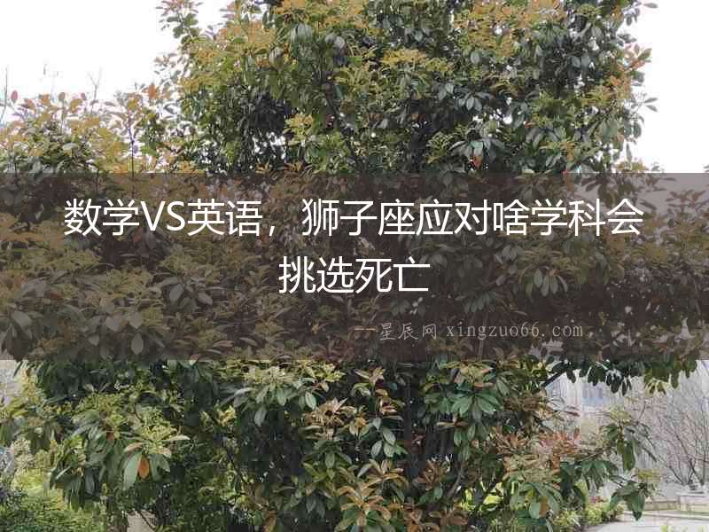 數學VS英語，獅子座應對啥學科會挑選死亡