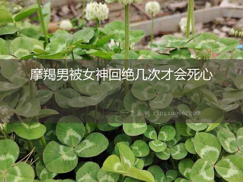 摩羯男被女神回絕幾次才會死心