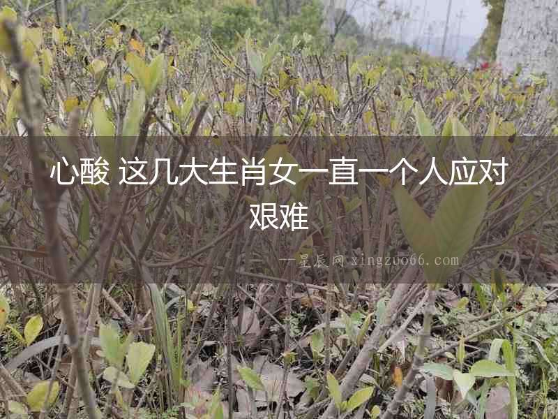 心酸 這幾大生肖女一直一個(gè)人應(yīng)對(duì)艱難