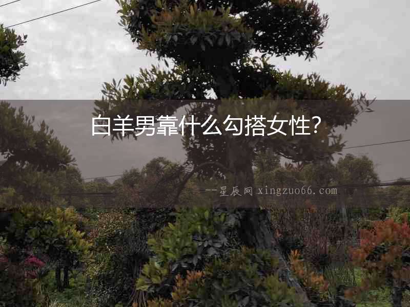 白羊男靠什么勾搭女性？