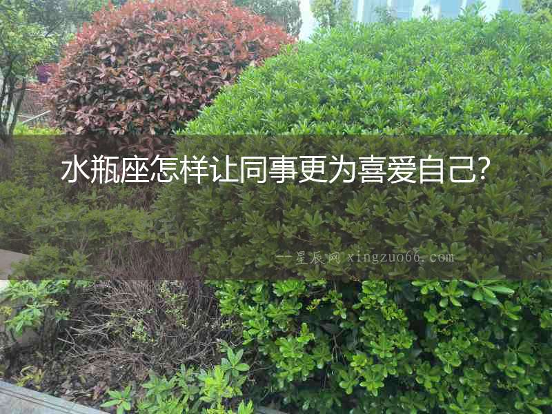 水瓶座怎樣讓同事更為喜愛自己？