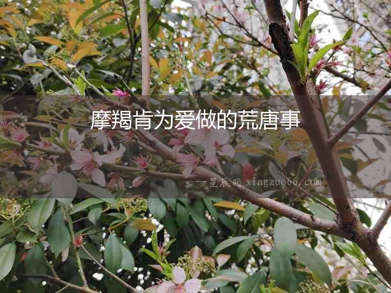 摩羯肯為愛做的荒唐事