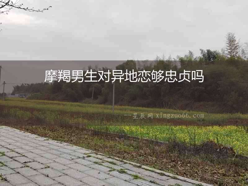 摩羯男生對異地戀夠忠貞嗎