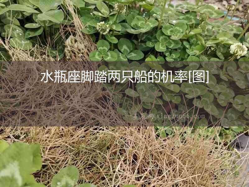 水瓶座腳踏兩只船的機率[圖]