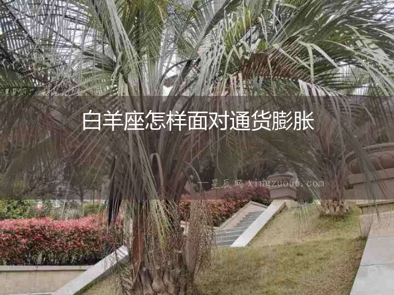 白羊座怎樣面對通貨膨脹