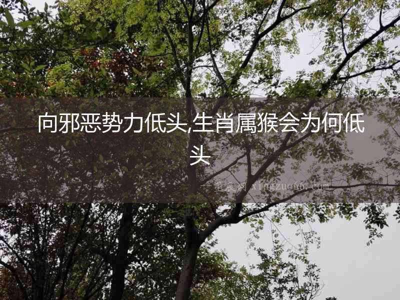 向邪惡勢力低頭,生肖屬猴會為何低頭