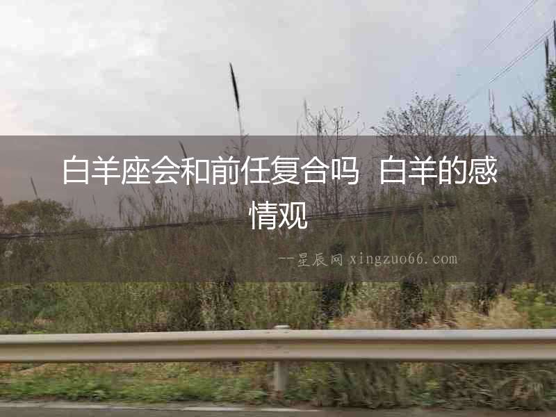 白羊座會和前任復合嗎  白羊的感情觀
