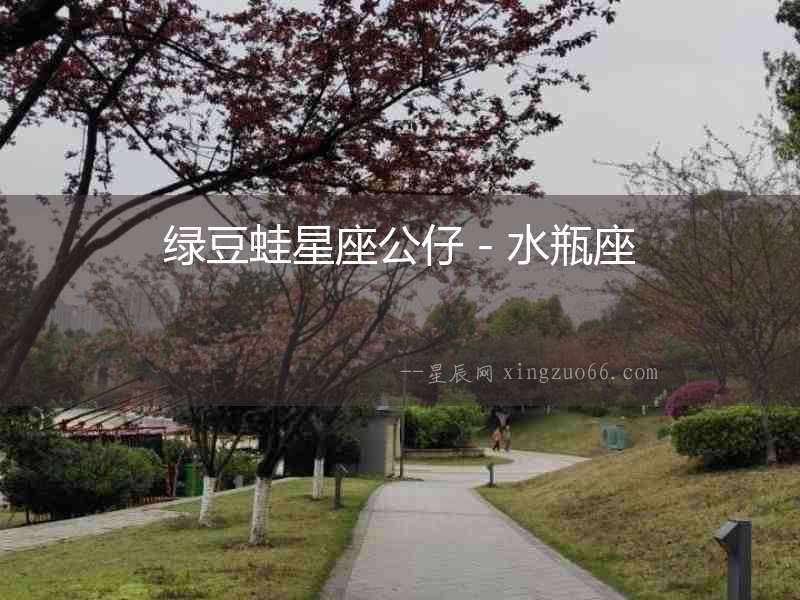 綠豆蛙星座公仔－水瓶座