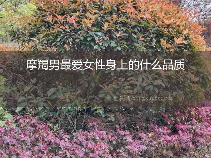 摩羯男最愛女性身上的什么品質
