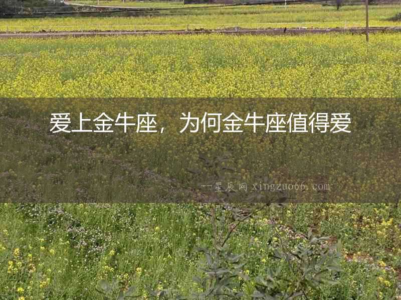 愛上金牛座，為何金牛座值得愛