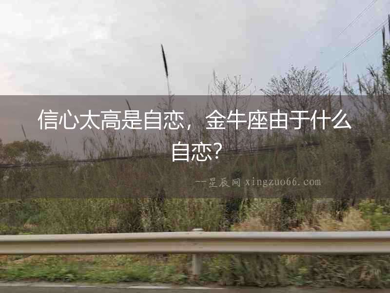 信心太高是自戀，金牛座由于什么自戀？