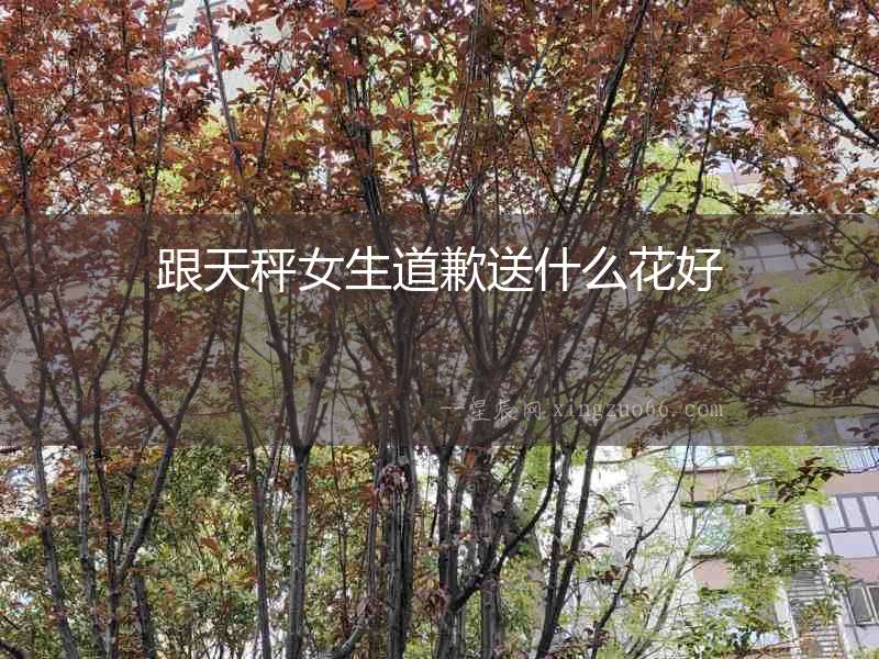 跟天秤女生道歉送什么花好