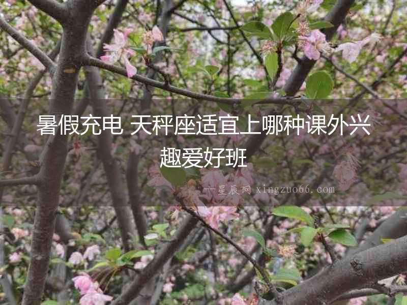 暑假充電 天秤座適宜上哪種課外興趣愛好班